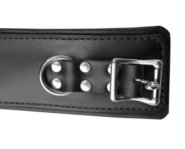 Leather Padded Premium Locking Ankle Restraints